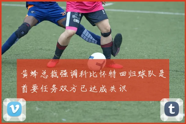 黄蜂总裁强调科比怀特回归球队是首要任务双方已达成共识